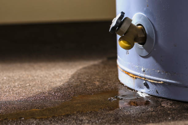 Best Emergency water damage restoration  in Philipsburg, MT