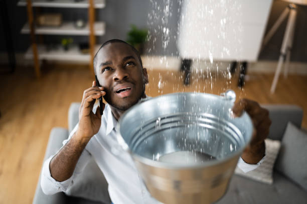 Best Mold removal after water damage  in Philipsburg, MT