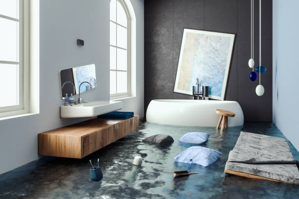 Best Carpet water damage restoration  in Philipsburg, MT