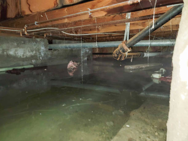 Best Sewage cleanup and water damage restoration  in Philipsburg, MT