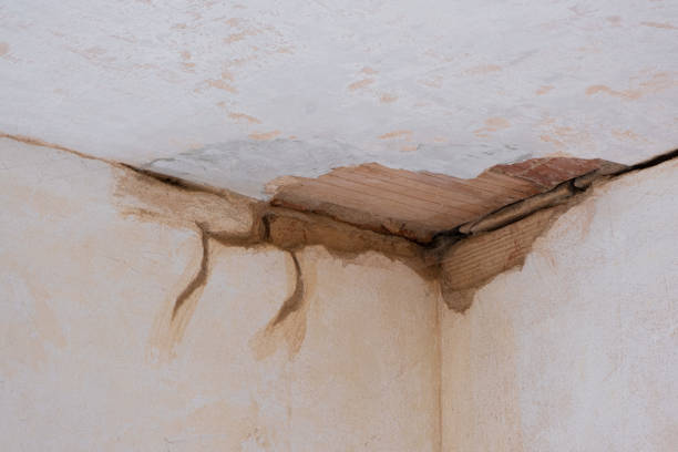 Best Flood damage cleanup  in Philipsburg, MT