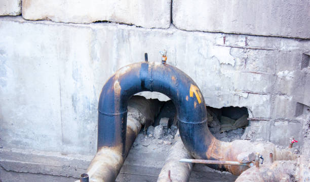 Best Water damage restoration near me  in Philipsburg, MT