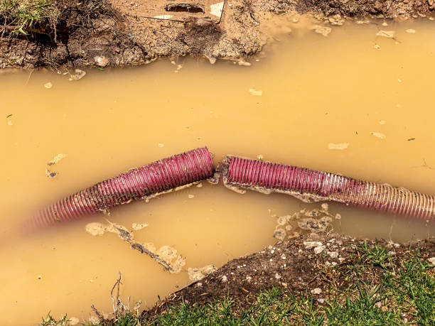 Best Local water damage restoration  in Philipsburg, MT
