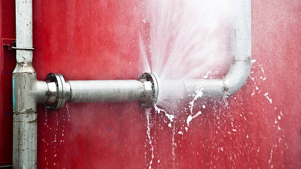 Reliable MT Water damage restoration Solutions